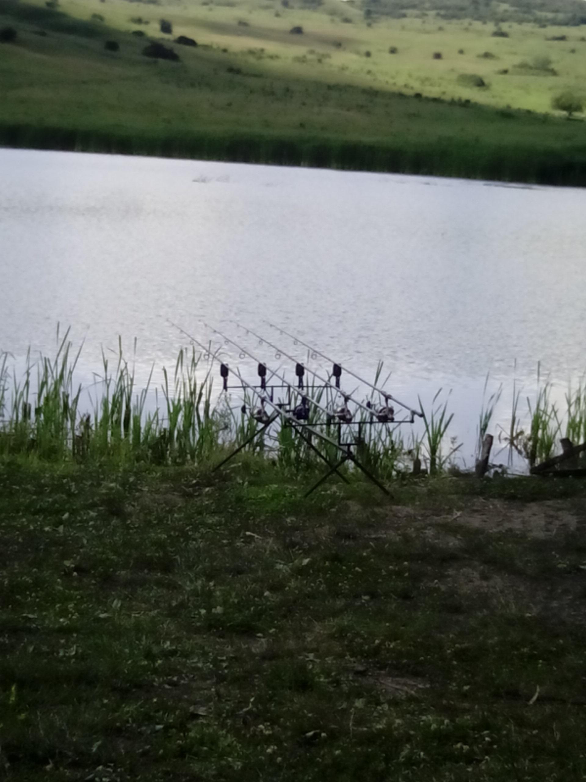 2014 - img201407131500471.jpg